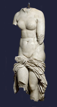 Venere Callipigia